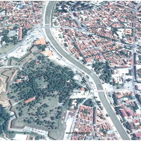 Blue New Yorker * Ni