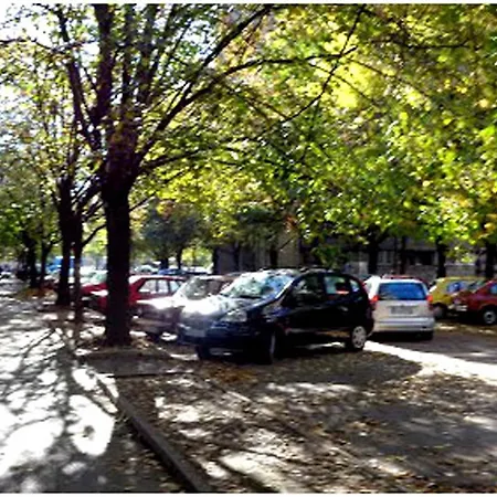 Blue New Yorker * Ni